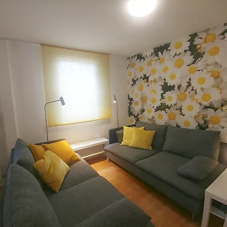 Rheinblick 2 公寓 科布倫茨